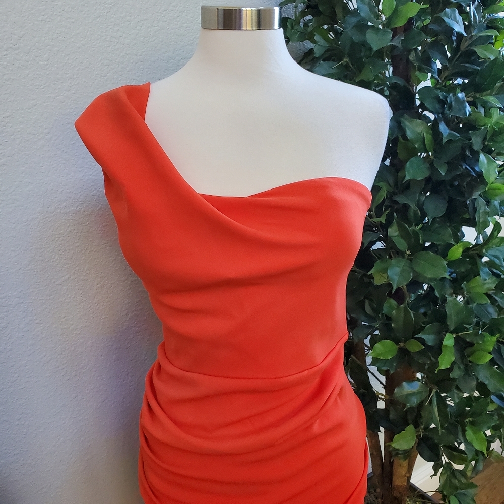 NWT Ruffled One-Shoulder Dress - Picture 4 of 8
